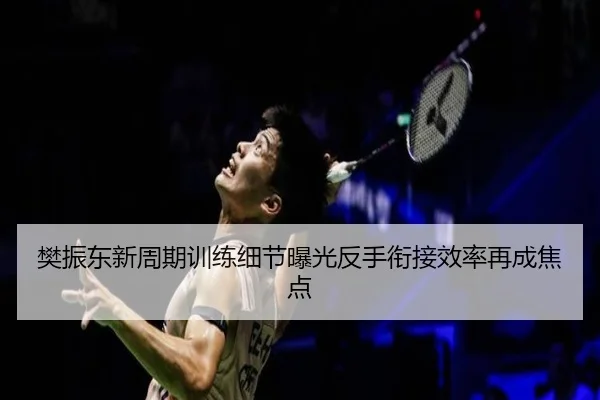 樊振东新周期训练细节曝光反手衔接效率再成焦点