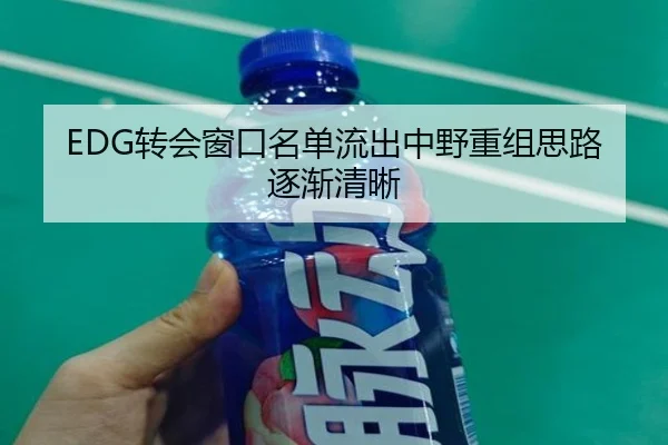 EDG转会窗口名单流出中野重组思路逐渐清晰